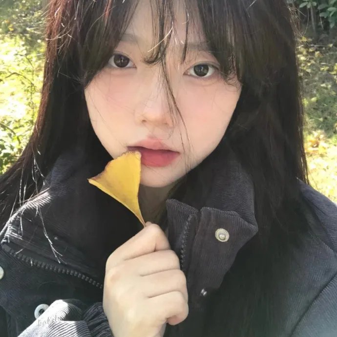 雄鹰少年队第四季